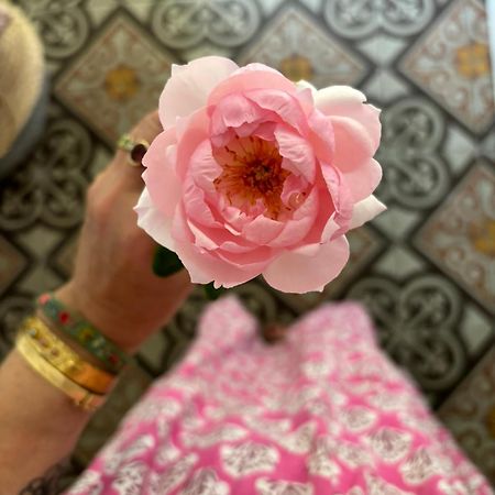 Coursan Le Logis Blanc Bed&Breakfast المظهر الخارجي الصورة