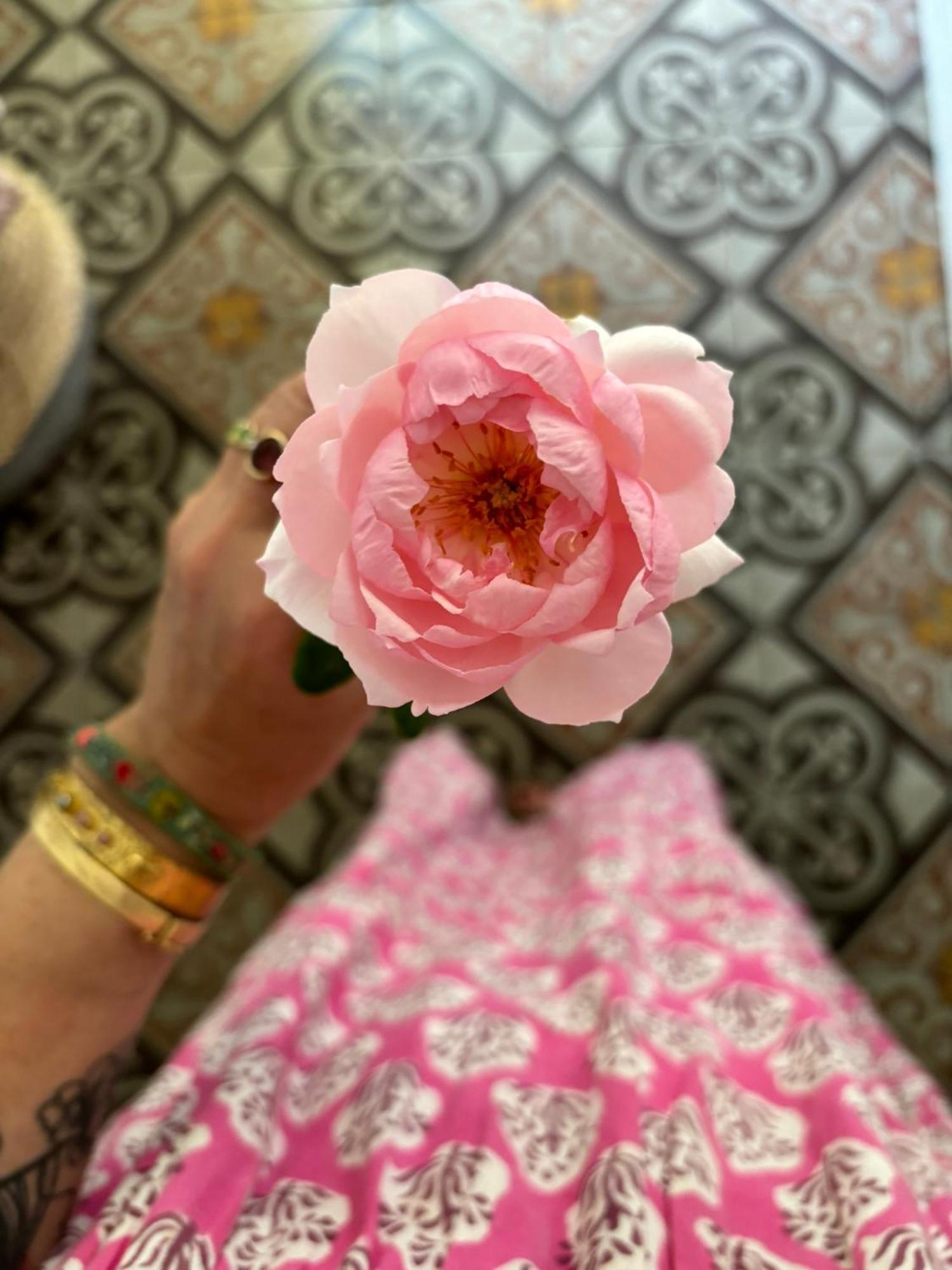 Coursan Le Logis Blanc Bed&Breakfast المظهر الخارجي الصورة