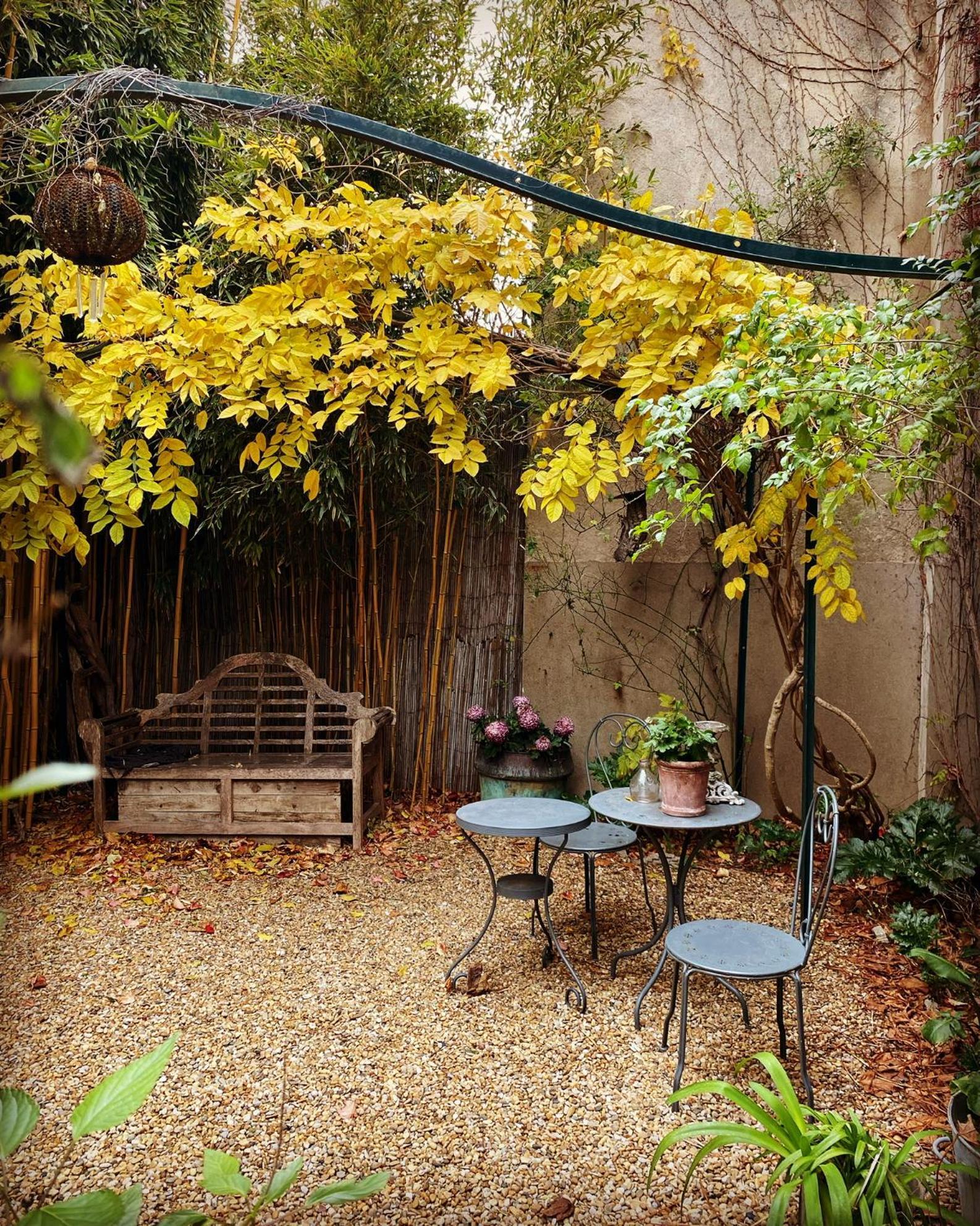 Coursan Le Logis Blanc Bed&Breakfast المظهر الخارجي الصورة