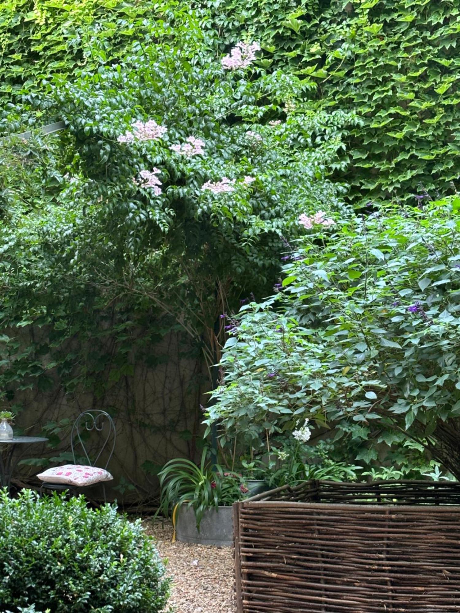 Coursan Le Logis Blanc Bed&Breakfast المظهر الخارجي الصورة
