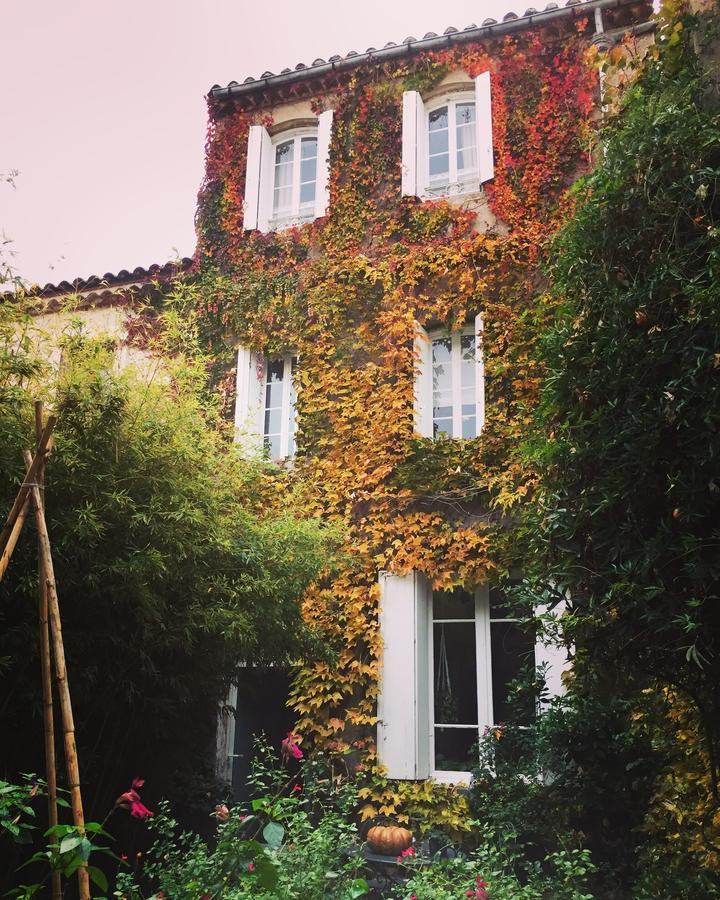 Coursan Le Logis Blanc Bed&Breakfast المظهر الخارجي الصورة