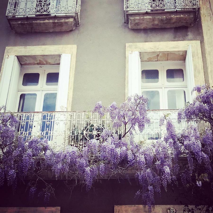 Coursan Le Logis Blanc Bed&Breakfast المظهر الخارجي الصورة