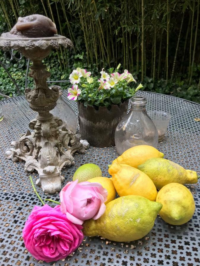 Coursan Le Logis Blanc Bed&Breakfast المظهر الخارجي الصورة